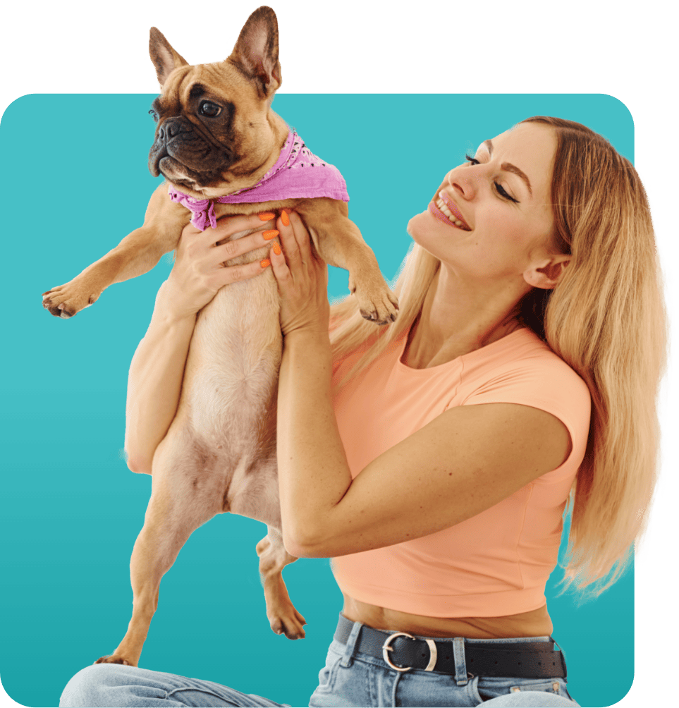 petpng025.png